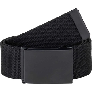Willard BELT 100