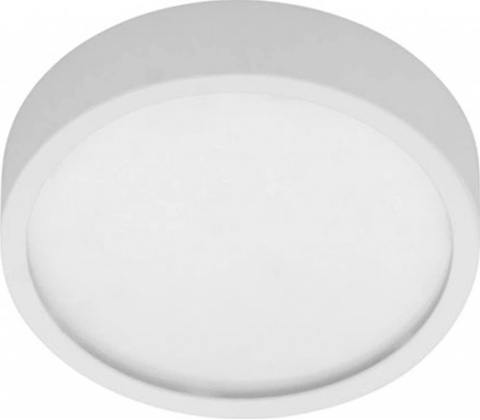 EGG 4109921