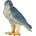 Mojo Фигура Mojo Animal Planet - Сокол скитник (381056)