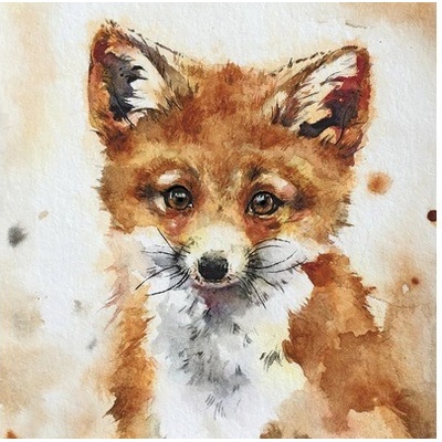 Obraz na plátne Fox 30x30 cm