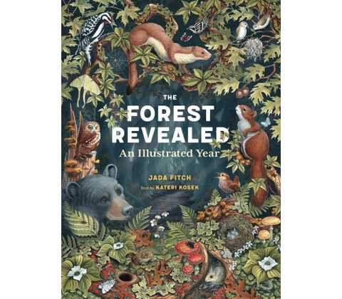 The Forest Revealed
