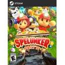 Spelunker Party