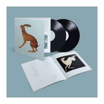 2 Vashti Bunyan - Lookaftering Expanded Edition 2 LP