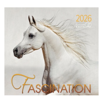 Fascination 2026