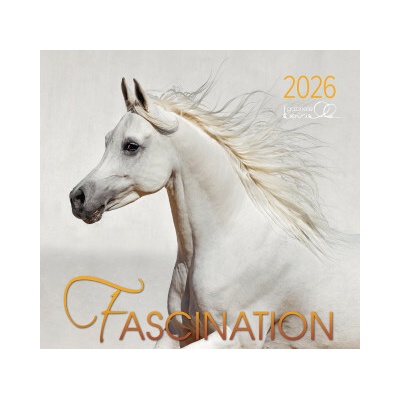 Fascination 2026