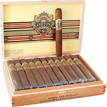 Ashton VSG Robusto 24ks