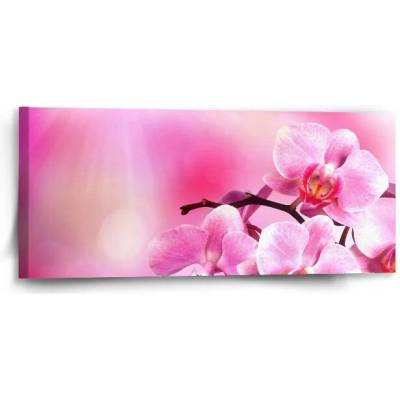 Sablio Obraz Květy orchideje - 110x50 cm