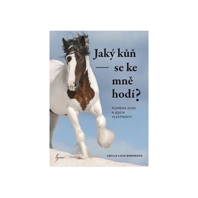 Jaký kůň se ke mně hodí?