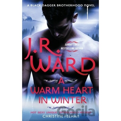 Warm Heart in Winter Ward J. R.