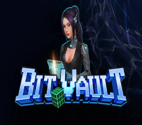 Bit Vault