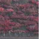 Sleep Token Even In Arcadia CD