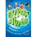 Super Minds 1 Flashcards