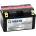 VARTA AGM 12V 8Ah (TTZ10S-BS)