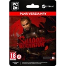 Shadow Warrior