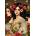 Alipson Puzzle - Puzzle Three Graces - 1 000 piese