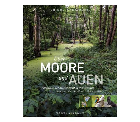 Über Moore und Auen