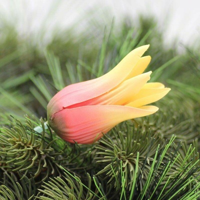 Hlavička tulipánu - žluto růžová - VL0571