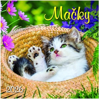 Mačky, nástenný, 33 x 33 cm 2026