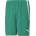 PUMA Team liga shorts s