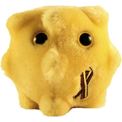 Infekční žloutenka