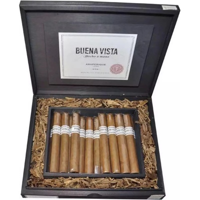 Buena Vista Toro Araperique