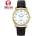 Certus 611240