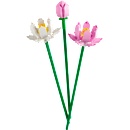 LEGO® Lotus Flowers (40647)