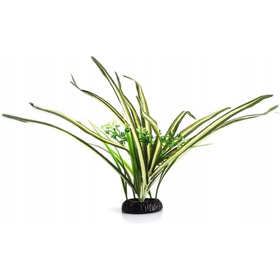 Repti Zoo dracaena marginata 30 cm
