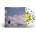 Pond - Stung! (Clear W/ Black & Yellow Splatter Bee Coloured) (2 LP) (0612789326303)