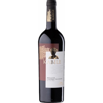 Image 1 of Villa Yambol КАБИЛЕ МЕРЛО КАБЕРНЕ