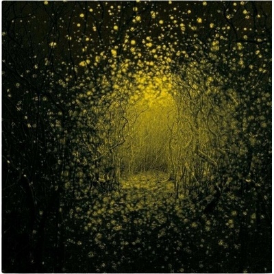 ANTLERS - BURST APART 1 LP