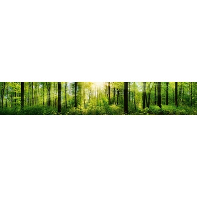 Dimex KI350-133 Fototapeta za linku Forest rozměry 350 x 60 cm