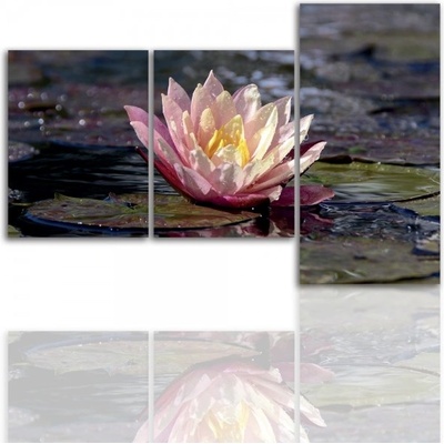 Divio Třídílný obraz na plátně květiny, vzor 12130 Velikost: 120x180 cm