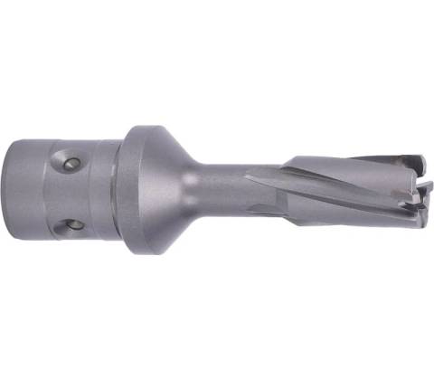 ABSE N-CA-F18-0140035