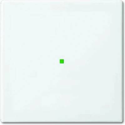 Busch-Jaeger 2CKA006220A0355