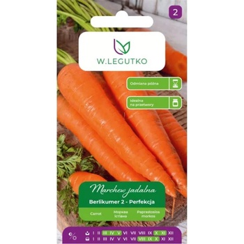 W. Legutko Berlikumer 2 ядлива морков - Перфектност - късна