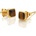 Hot Diamonds Gemstone DE772
