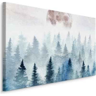 Plátno Měsíc Nad Zamlženými Stromy Varianta: 70x50