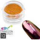 Allepaznokcie chameleon ekekt pigment