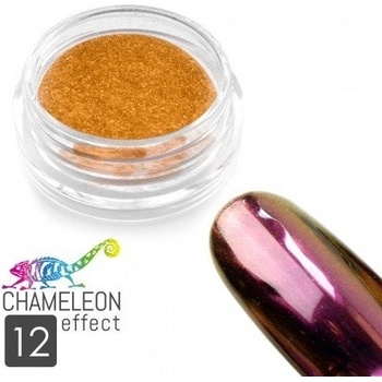Allepaznokcie chameleon ekekt pigment