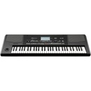 Korg PA300