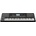 Korg PA300