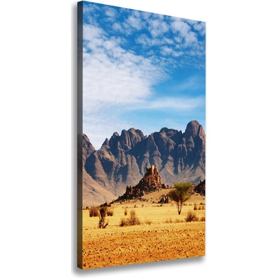 Vertikálny foto obraz na plátne Namibská púšť 50x100 cm