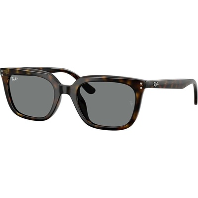 Ray-Ban RB4439D 710 87