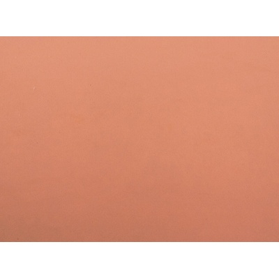 Samolepící pěnová guma Moosgummi 20x30 cm Varianta: lososová