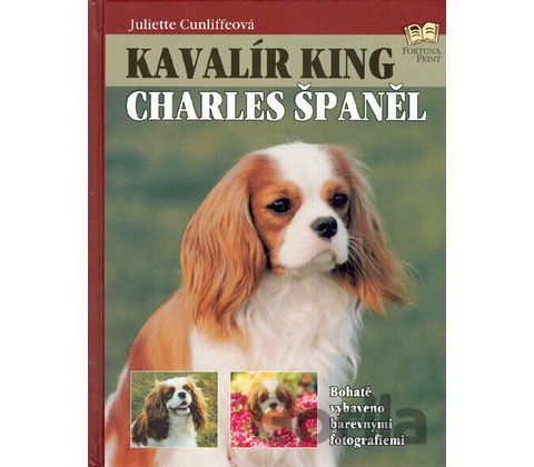 Kavalír King Charles Španěl