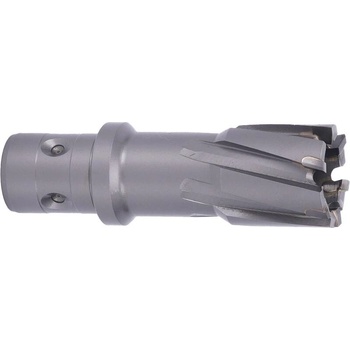 ABSE N-CA-F18-0210050
