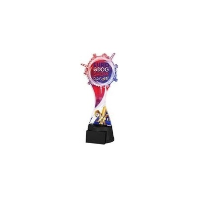 Poháry Bauer Akrylátová trofej EDS22ACUTC04
