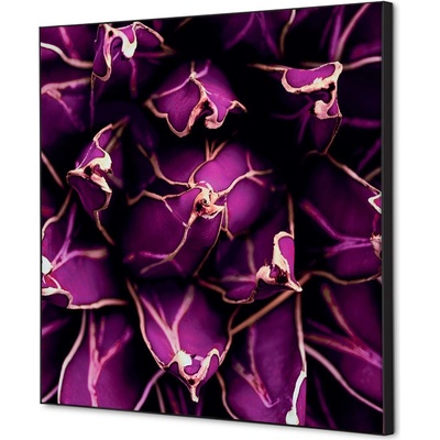 Jansen Display Textilní dekorace na zeď 40 x 40 Cactus nachový, 400 x 400 mm