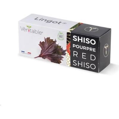 Véritable Lingot Fialový shiso BIO